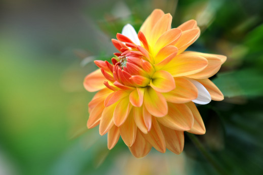 758257 (a): :2560x1700